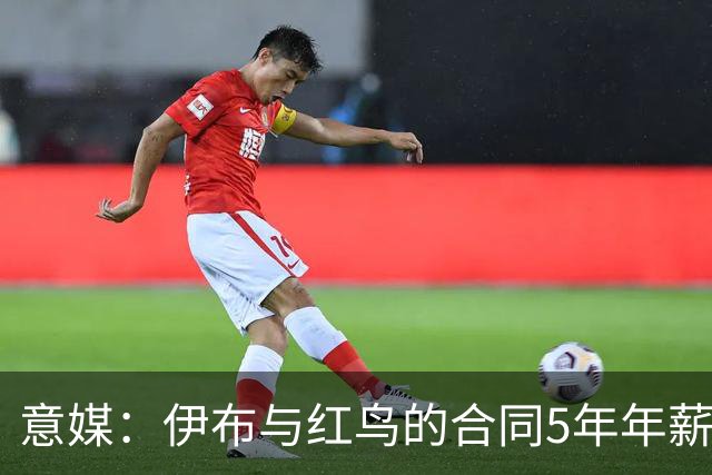 意媒：伊布与红鸟的合同5年年薪100万欧，职责除了竞技还涉及商业